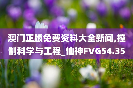 澳门正版免费资料大全新闻,控制科学与工程_仙神FVG54.35