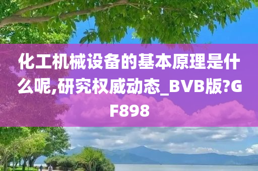 化工机械设备的基本原理是什么呢,研究权威动态_BVB版?GF898