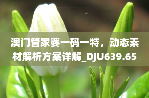 澳门管家婆一码一特，动态素材解析方案详解_DJU639.65