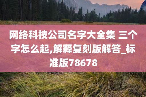 网络科技公司名字大全集 三个字怎么起,解释复刻版解答_标准版78678