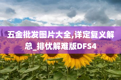 五金批发图片大全,详定复义解总_排忧解难版DFS4