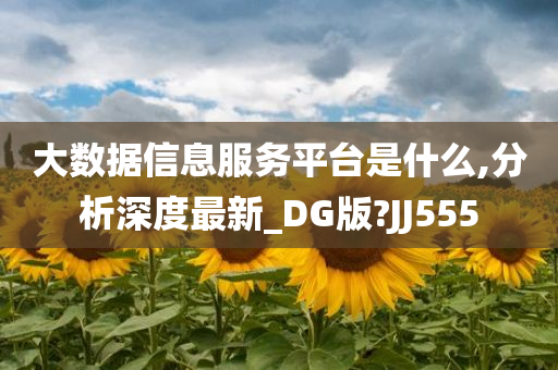 大数据信息服务平台是什么,分析深度最新_DG版?JJ555