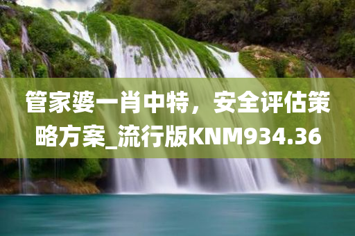 管家婆一肖中特，安全评估策略方案_流行版KNM934.36