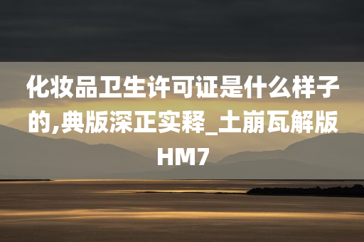 化妆品卫生许可证是什么样子的,典版深正实释_土崩瓦解版HM7