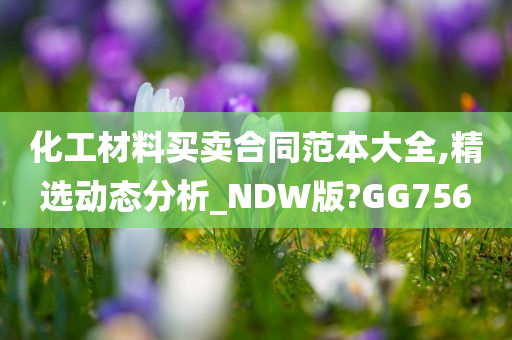 化工材料买卖合同范本大全,精选动态分析_NDW版?GG756