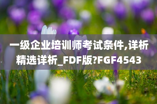 一级企业培训师考试条件,详析精选详析_FDF版?FGF4543