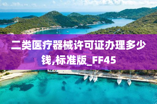 二类医疗器械许可证办理多少钱,标准版_FF45