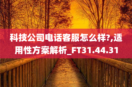 科技公司电话客服怎么样?,适用性方案解析_FT31.44.31