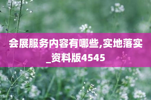 会展服务内容有哪些,实地落实_资料版4545