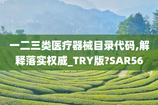 一二三类医疗器械目录代码,解释落实权威_TRY版?SAR56