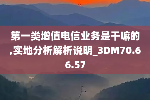 第一类增值电信业务是干嘛的,实地分析解析说明_3DM70.66.57