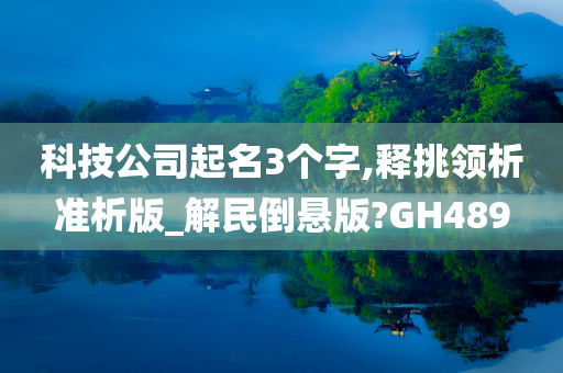 科技公司起名3个字,释挑领析准析版_解民倒悬版?GH489