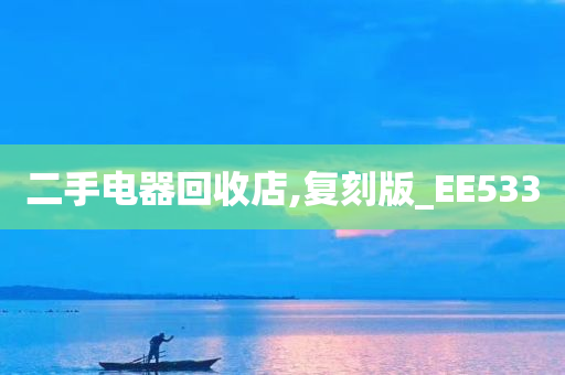 二手电器回收店,复刻版_EE533