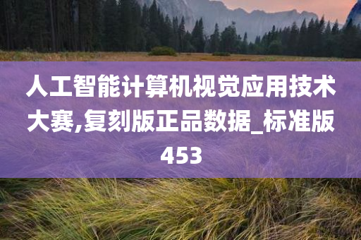 人工智能计算机视觉应用技术大赛,复刻版正品数据_标准版453