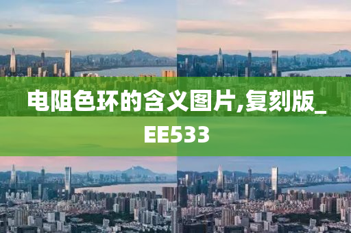 电阻色环的含义图片,复刻版_EE533