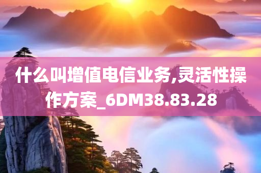 什么叫增值电信业务,灵活性操作方案_6DM38.83.28