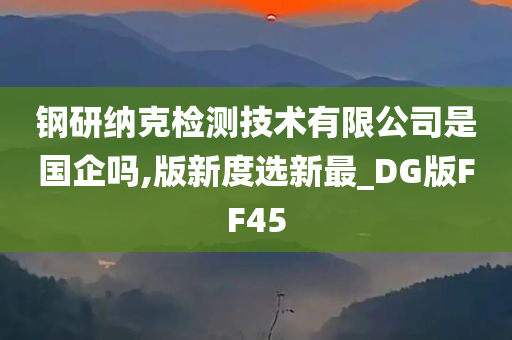 钢研纳克检测技术有限公司是国企吗,版新度选新最_DG版FF45