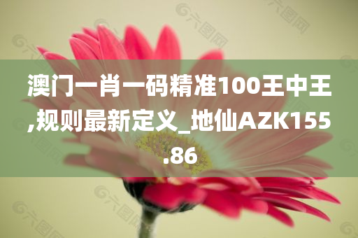 澳门一肖一码精准100王中王,规则最新定义_地仙AZK155.86