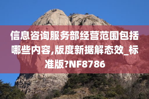 信息咨询服务部经营范围包括哪些内容,版度新据解态效_标准版?NF8786