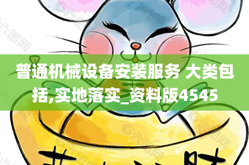 普通机械设备安装服务 大类包括,实地落实_资料版4545