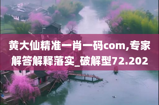 黄大仙精准一肖一码com,专家解答解释落实_破解型72.202