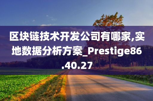 区块链技术开发公司有哪家,实地数据分析方案_Prestige86.40.27