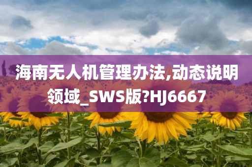 海南无人机管理办法,动态说明领域_SWS版?HJ6667