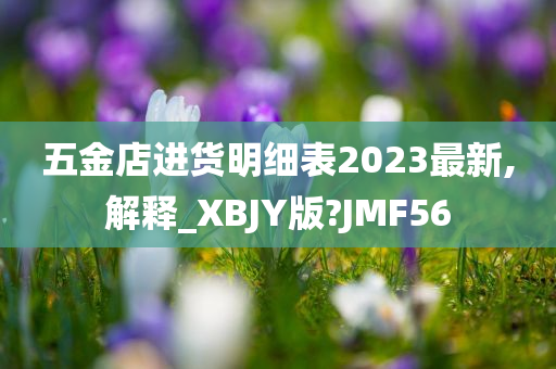 五金店进货明细表2023最新,解释_XBJY版?JMF56