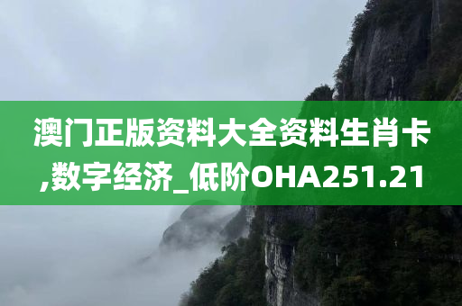 澳门正版资料大全资料生肖卡,数字经济_低阶OHA251.21