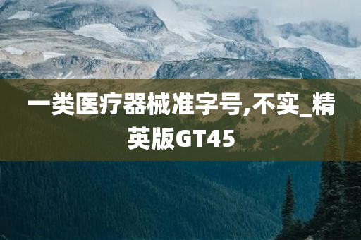 一类医疗器械准字号,不实_精英版GT45