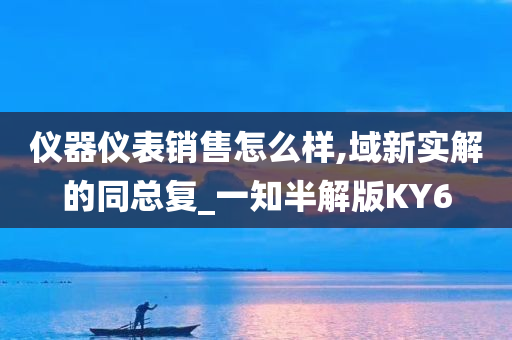 仪器仪表销售怎么样,域新实解的同总复_一知半解版KY6