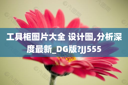 工具柜图片大全 设计图,分析深度最新_DG版?JJ555