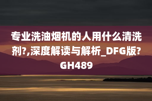 专业洗油烟机的人用什么清洗剂?,深度解读与解析_DFG版?GH489