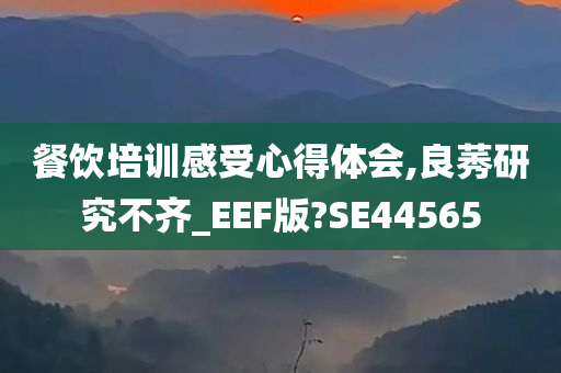 餐饮培训感受心得体会,良莠研究不齐_EEF版?SE44565