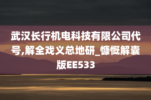 武汉长行机电科技有限公司代号,解全戏义总地研_慷慨解囊版EE533