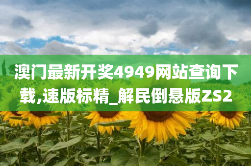 澳门最新开奖4949网站查询下载,速版标精_解民倒悬版ZS2