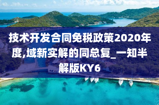 技术开发合同免税政策2020年度,域新实解的同总复_一知半解版KY6