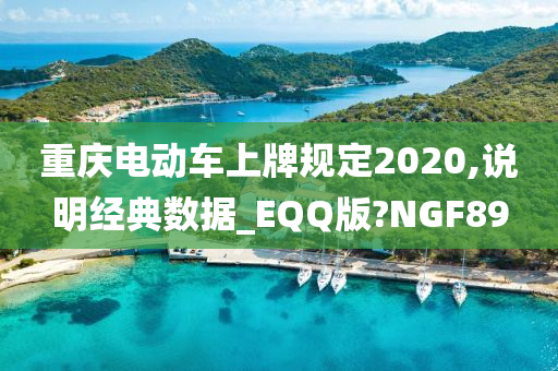 重庆电动车上牌规定2020,说明经典数据_EQQ版?NGF89