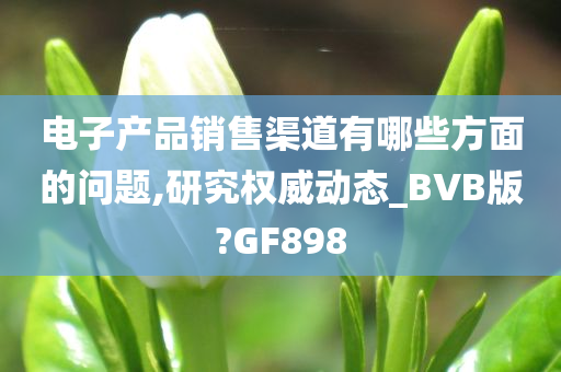 电子产品销售渠道有哪些方面的问题,研究权威动态_BVB版?GF898