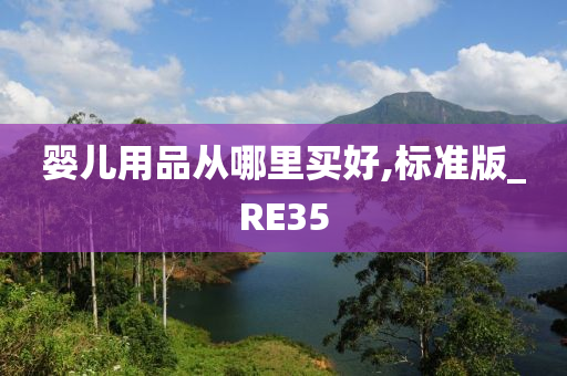 婴儿用品从哪里买好,标准版_RE35