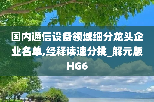 国内通信设备领域细分龙头企业名单,经释读速分挑_解元版HG6