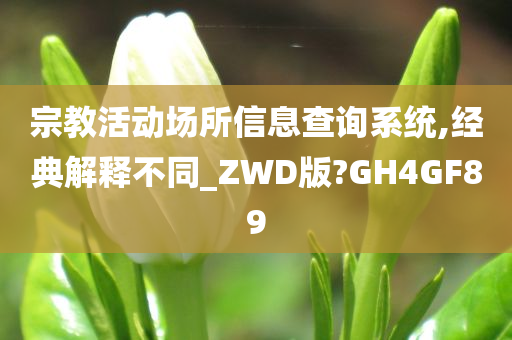 宗教活动场所信息查询系统,经典解释不同_ZWD版?GH4GF89