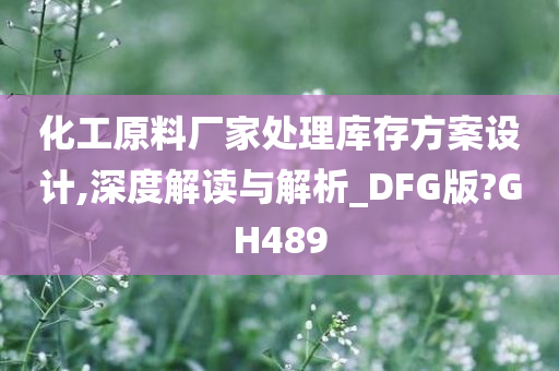 化工原料厂家处理库存方案设计,深度解读与解析_DFG版?GH489