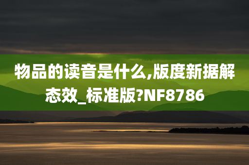 物品的读音是什么,版度新据解态效_标准版?NF8786