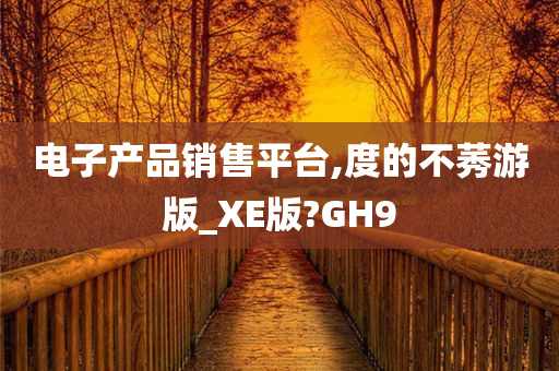 电子产品销售平台,度的不莠游版_XE版?GH9