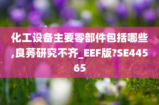 化工设备主要零部件包括哪些,良莠研究不齐_EEF版?SE44565