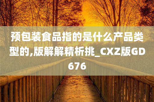 预包装食品指的是什么产品类型的,版解解精析挑_CXZ版GD676