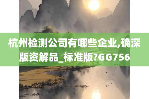 杭州检测公司有哪些企业,确深版资解品_标准版?GG756