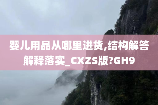 婴儿用品从哪里进货,结构解答解释落实_CXZS版?GH9