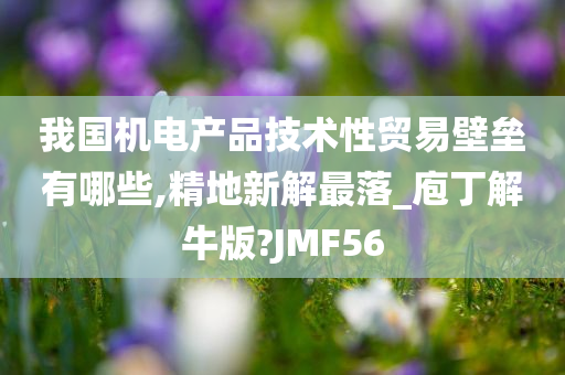 我国机电产品技术性贸易壁垒有哪些,精地新解最落_庖丁解牛版?JMF56